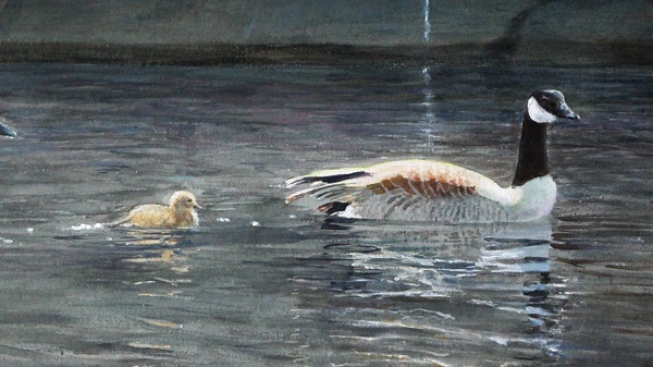 fågel konst målning kanadagås